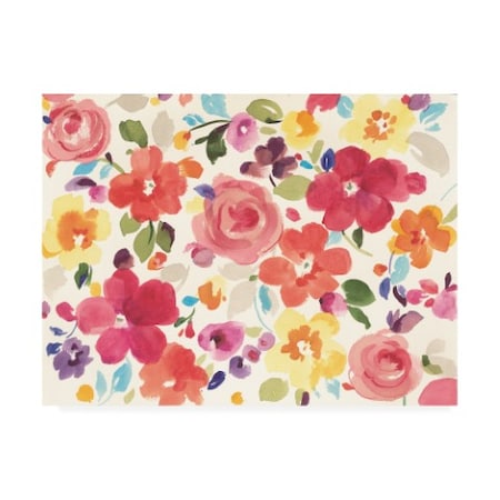 Danhui Nai 'Popping Florals' Canvas Art,35x47